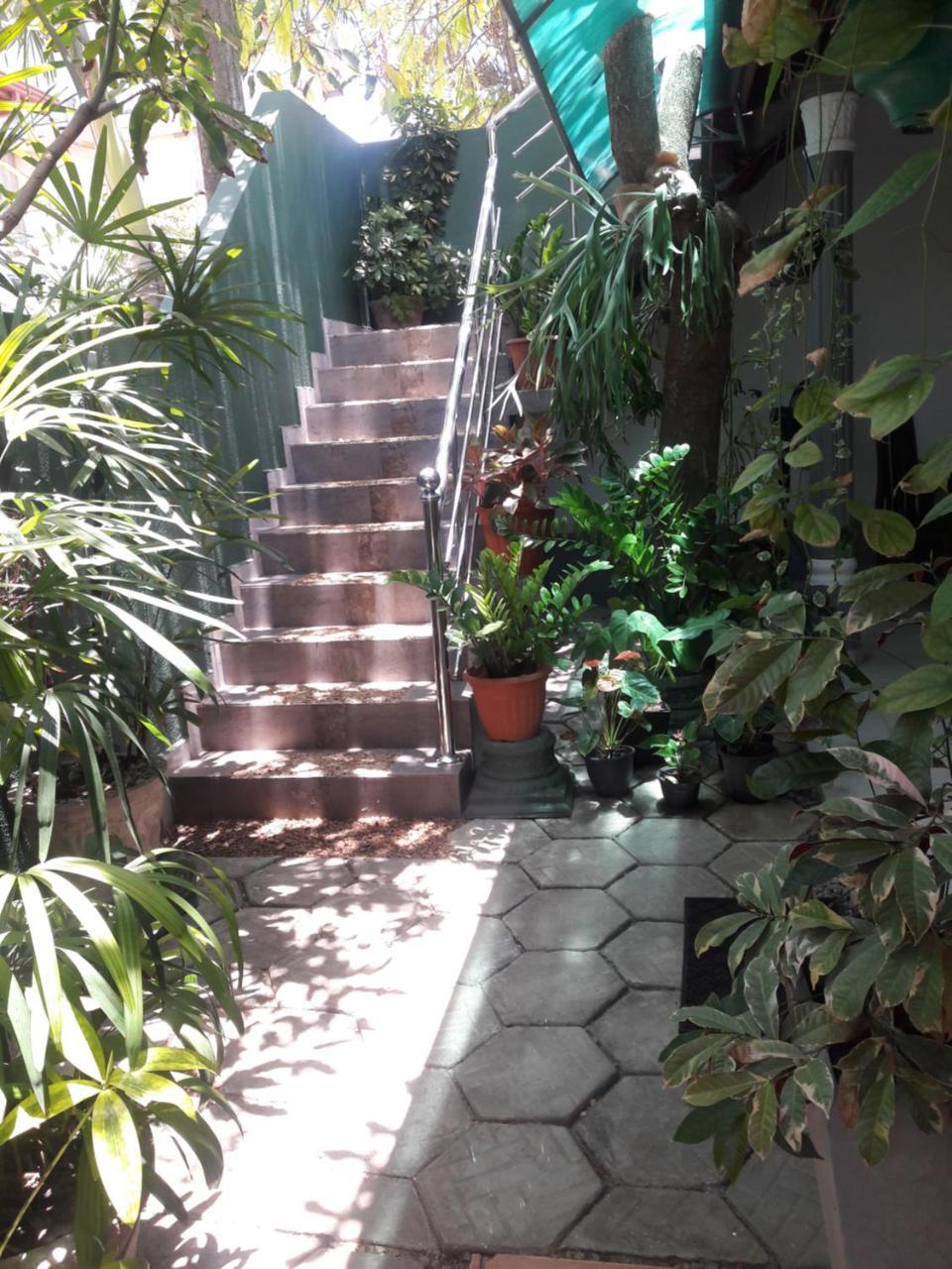 Aayu'S Guest Hotel Bentota Luaran gambar
